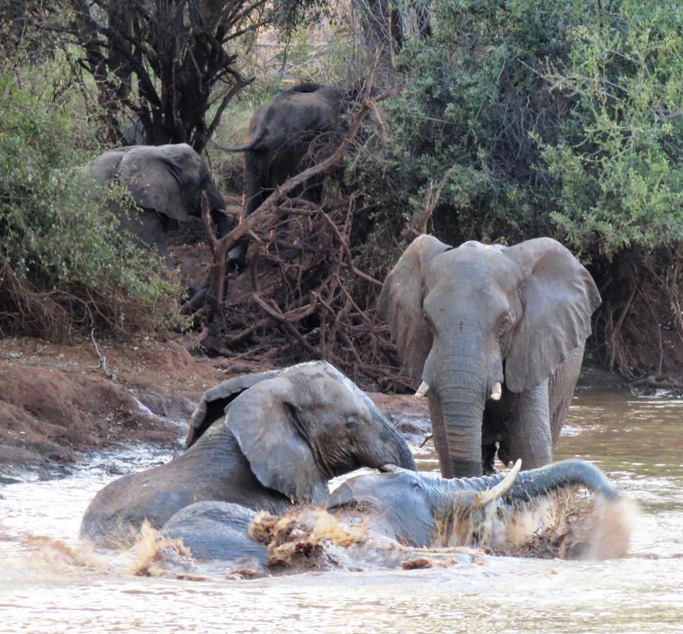 Sable Creek Safari Lodge Tzaneen Exteriör bild