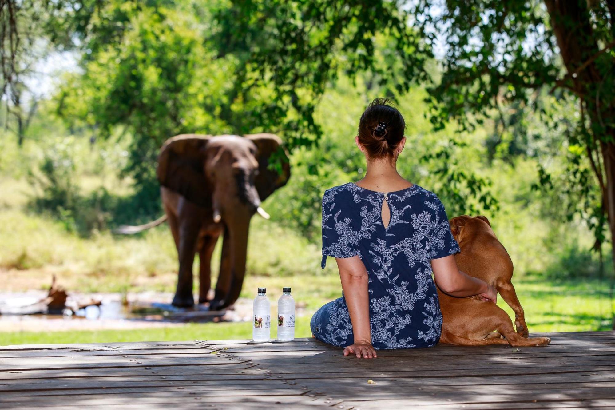 Sable Creek Safari Lodge Tzaneen Exteriör bild