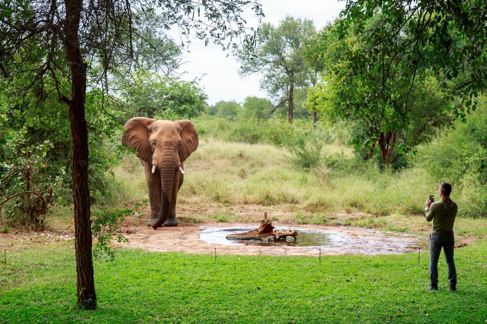 Sable Creek Safari Lodge Tzaneen Exteriör bild